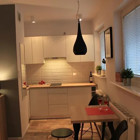 Apartament Kamienna Gora شقة *